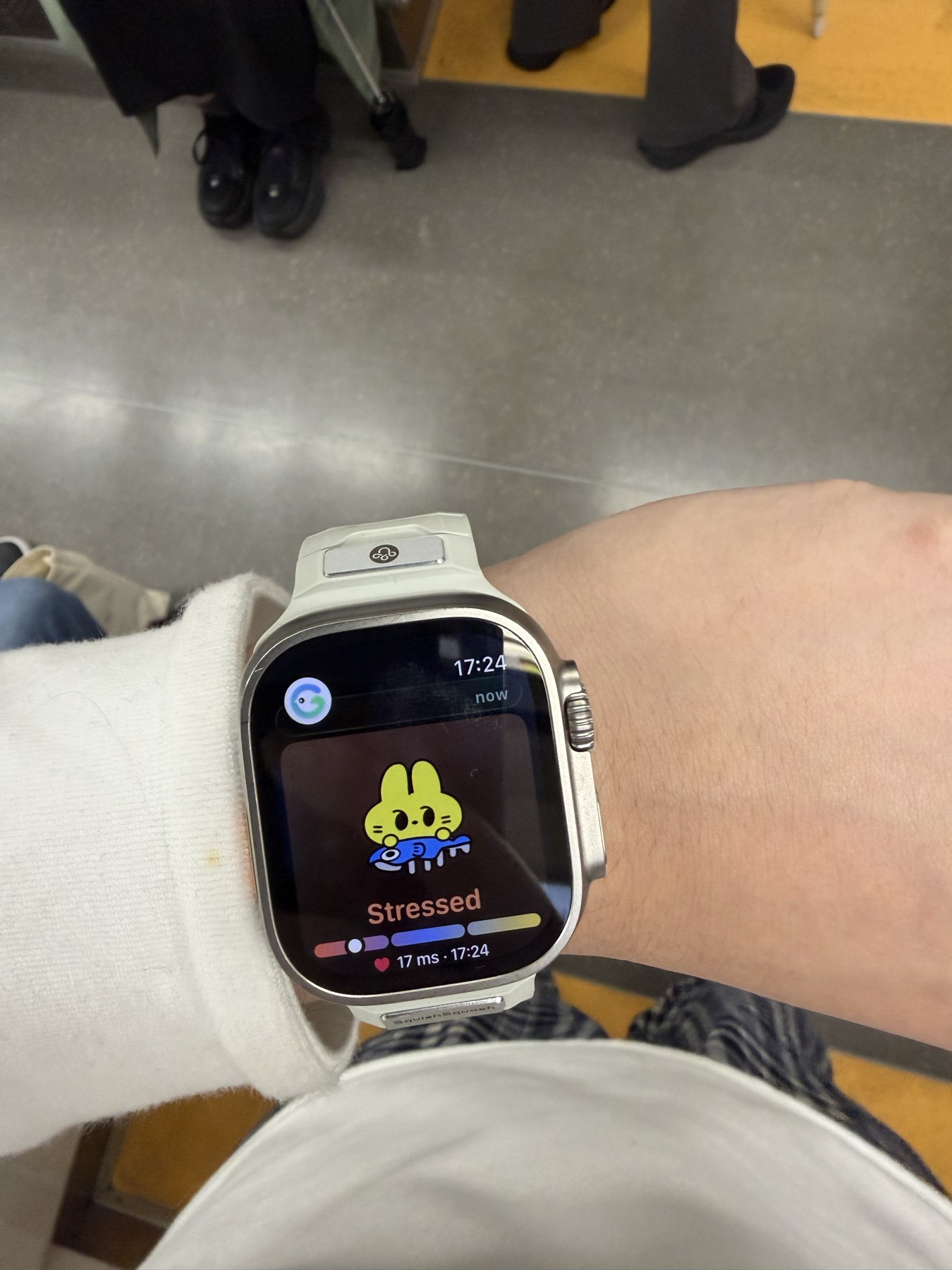 列车上 Apple Watch 显示压力状态记录。